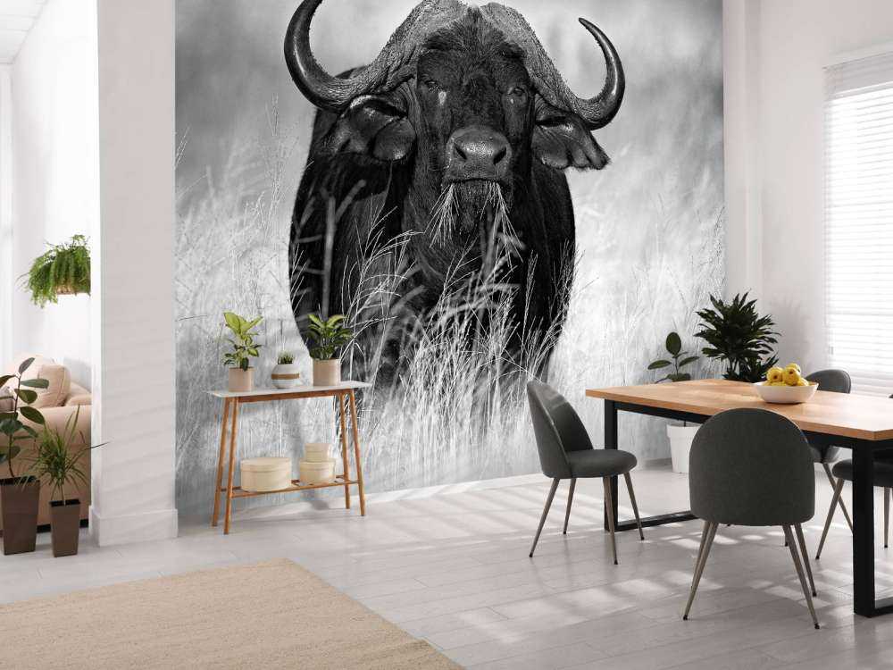 Buffalo in black and white