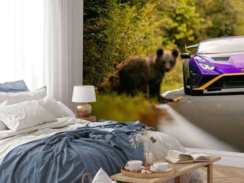 Lamborghini vs. wilderness