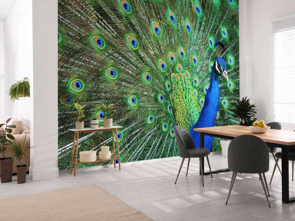 Peacock