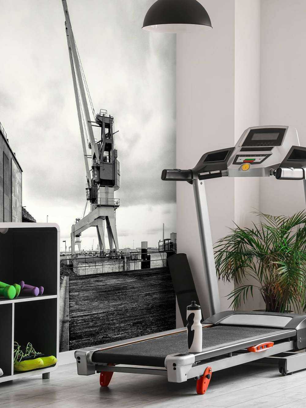 Harbour crane on the former RDM site Heijplaat Rotterdam 