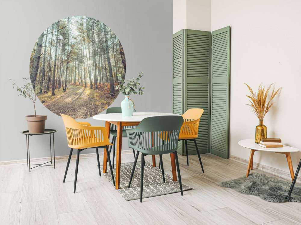 Path through sunny forest