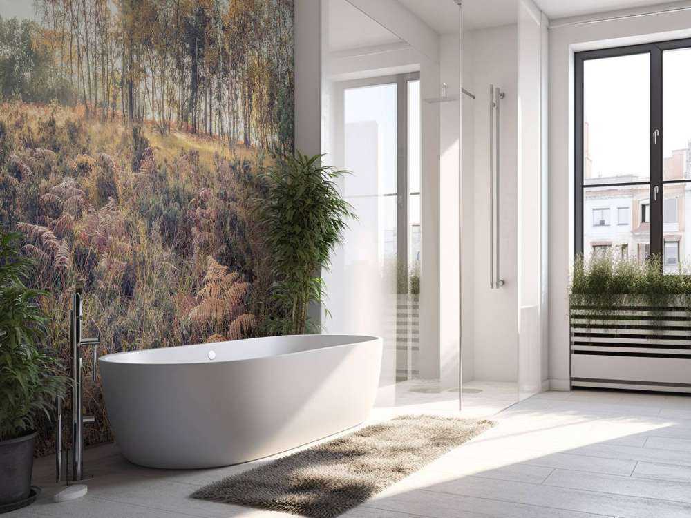 Forest in the morning