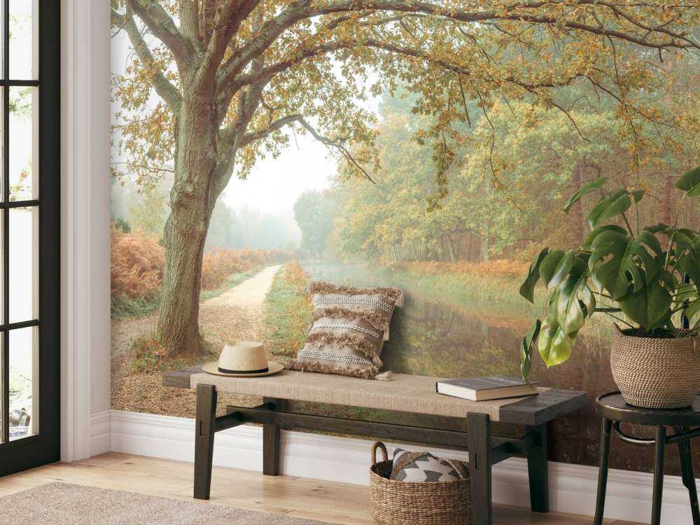 Lake in autumn forest