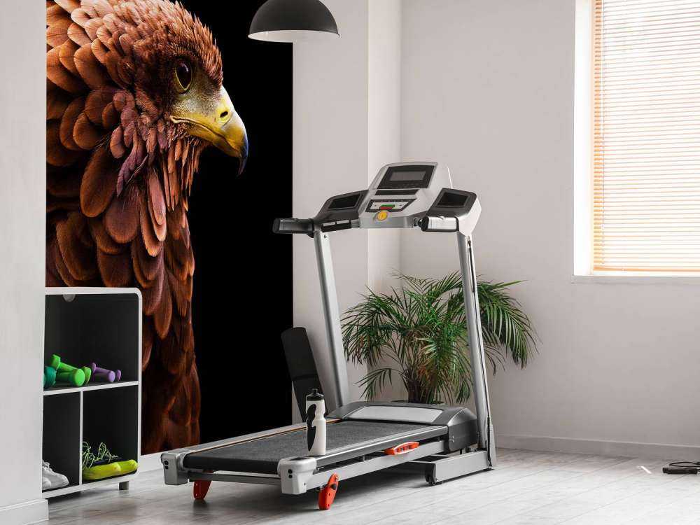 Roman Hawk