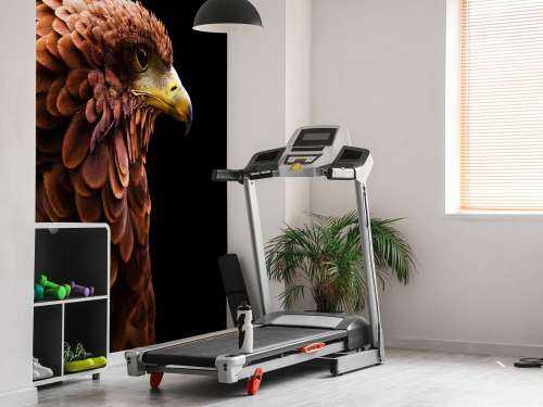 Roman Hawk
