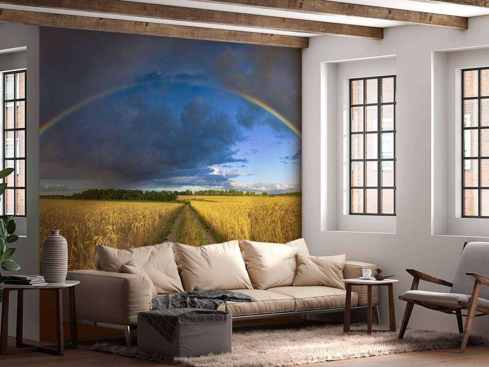 Rainbow over a wheat field