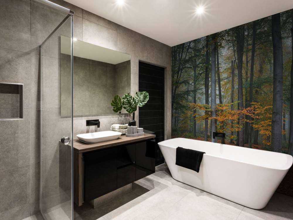 Autumn colours in misty forest