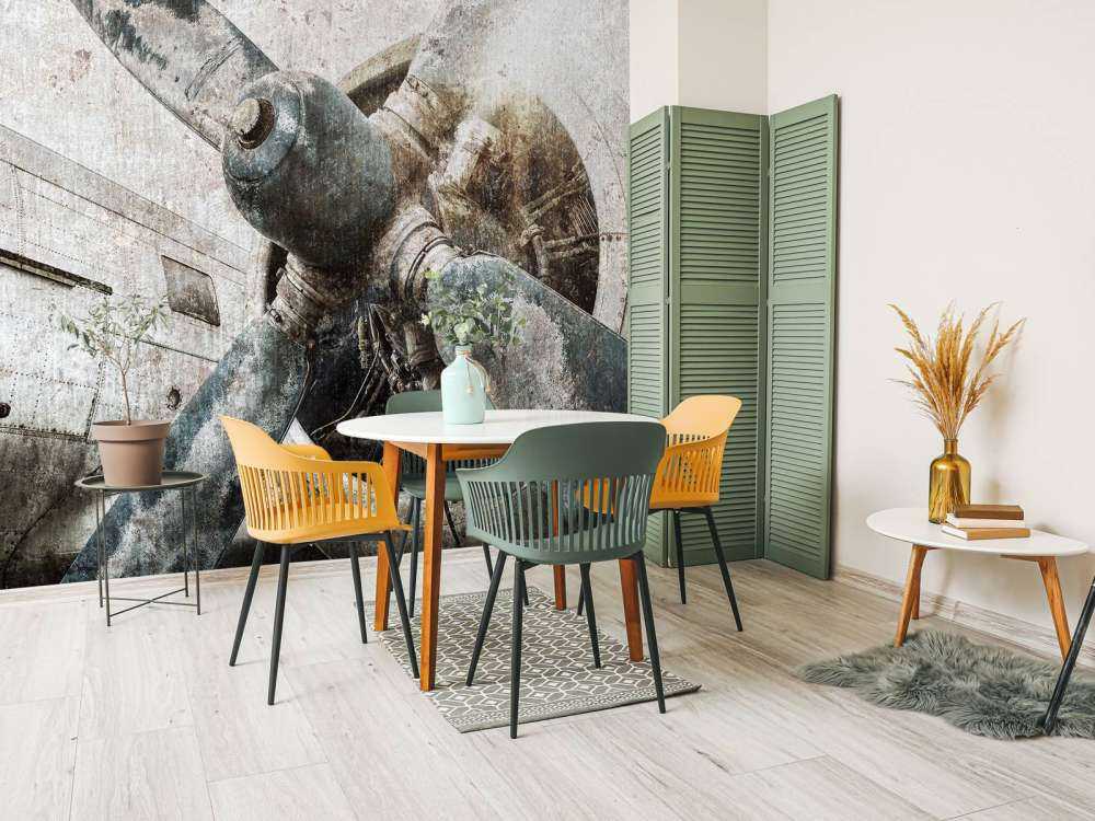 Vintage aeroplane engine