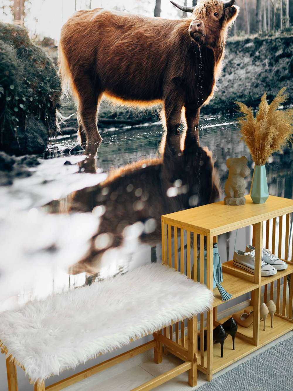 Scottish Highlander in the water