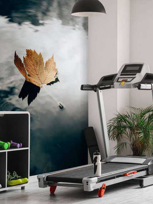 Autumn leaf