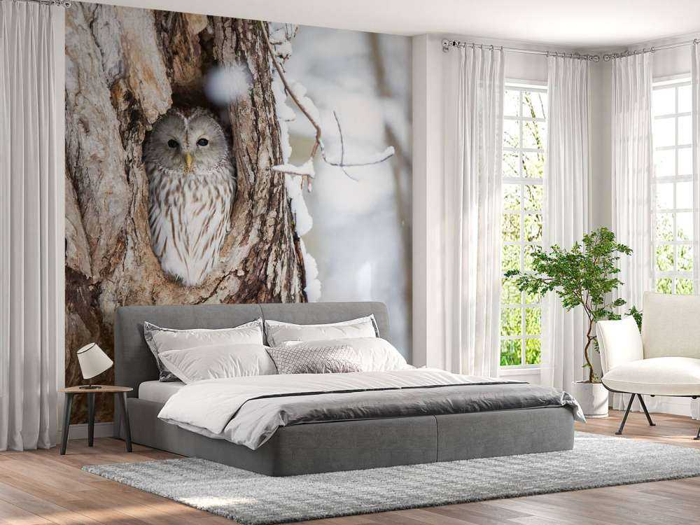 White owl in a hollow tree