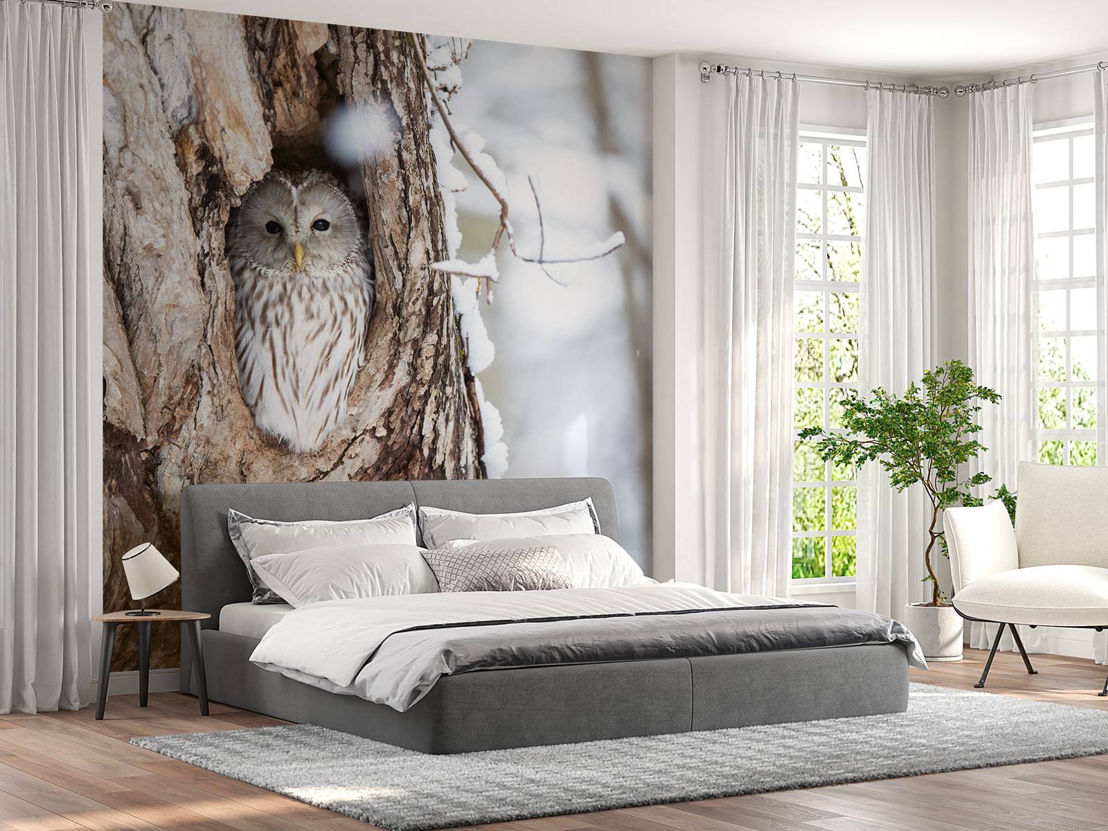 White owl in a hollow tree