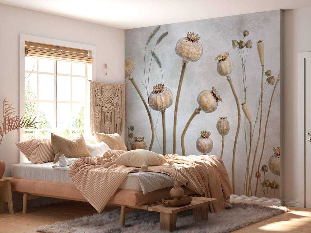 Papaver