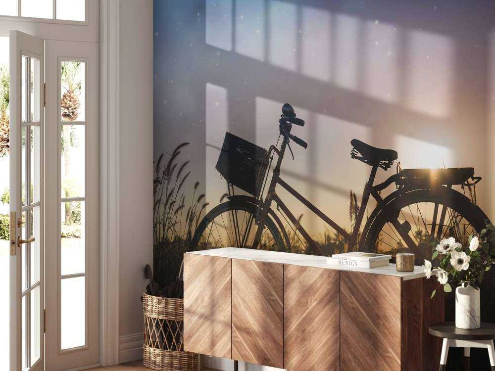 Silhouette bike