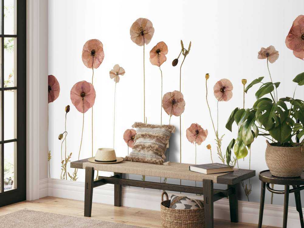 Poppy flower field colourful