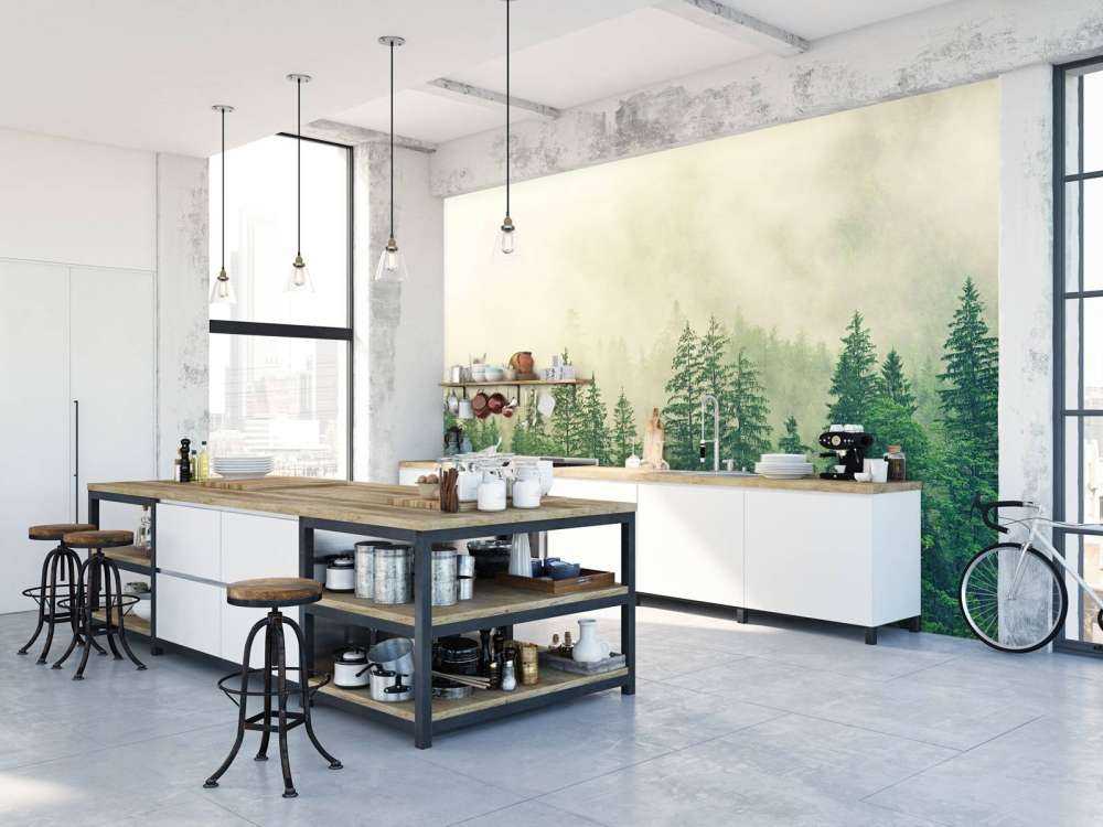 Pine trees in the fog