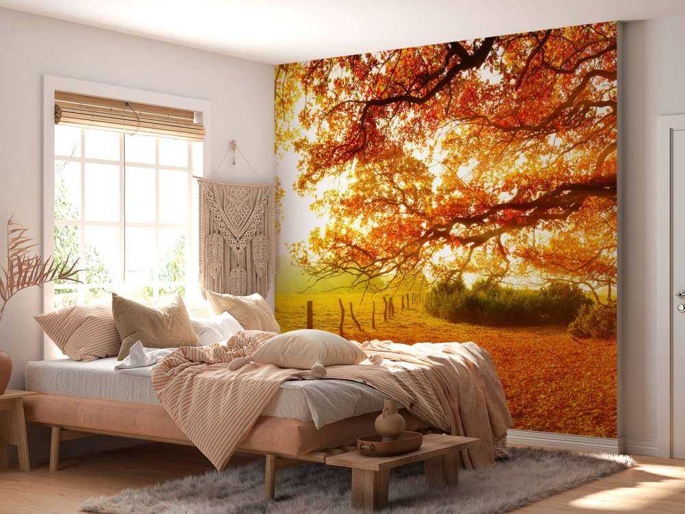 Autumn landscape with forest and meadow