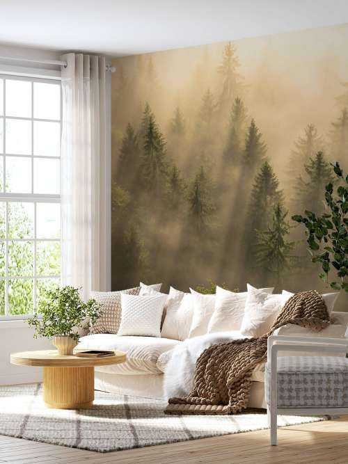 Foggy pine trees