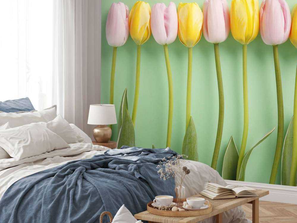 Tulips on mint green background