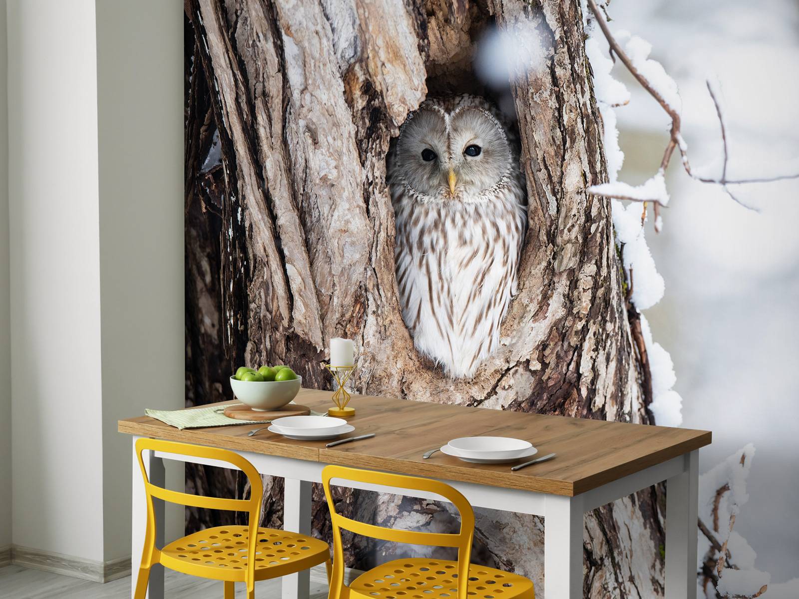 White owl in a hollow tree