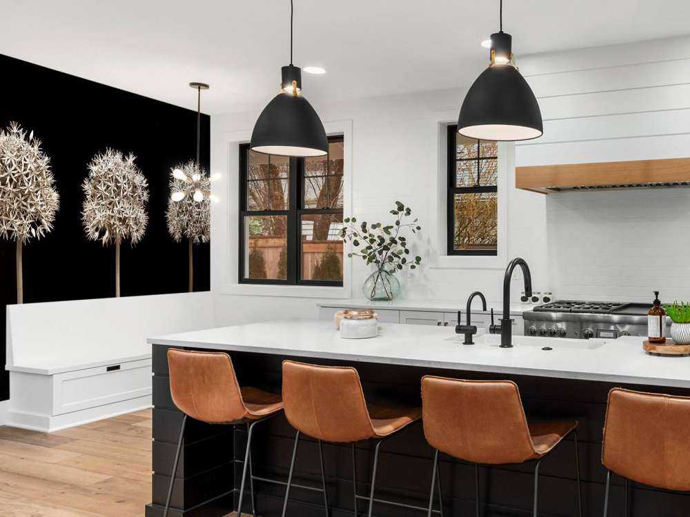 Three allium flowers in a row