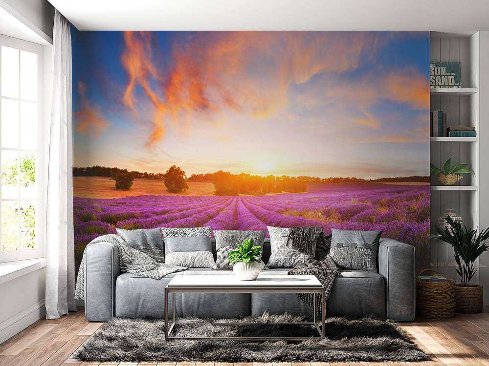 Field of Lavender
