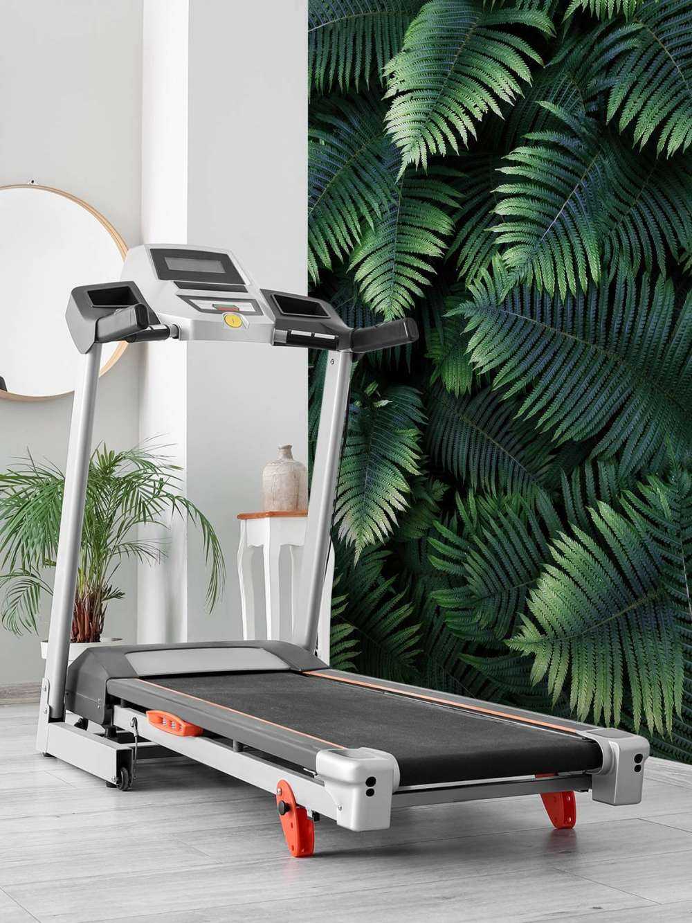 Large palm leaves