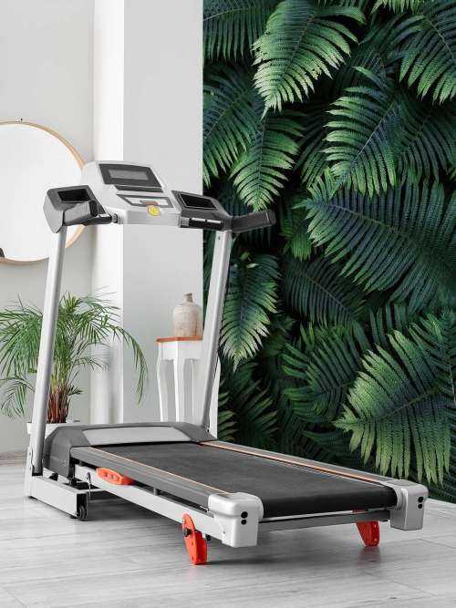 Large palm leaves