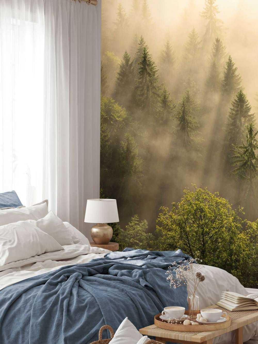 Foggy pine trees