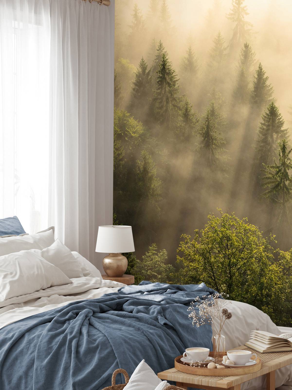 Foggy pine trees
