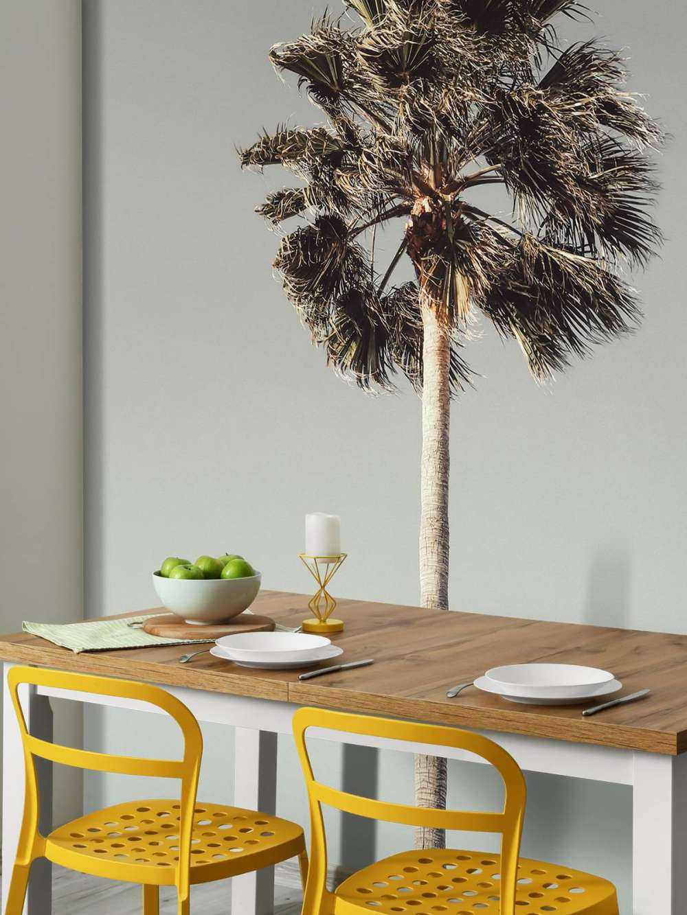 Windy Palm 