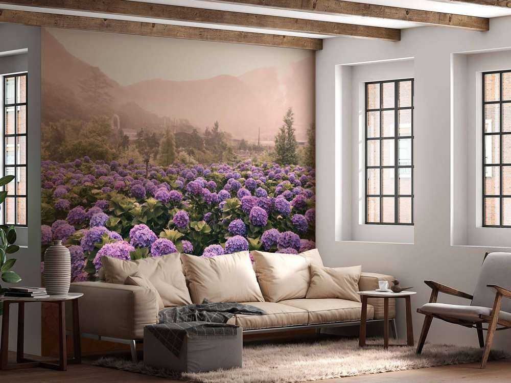 Hydrangeas in Beitou