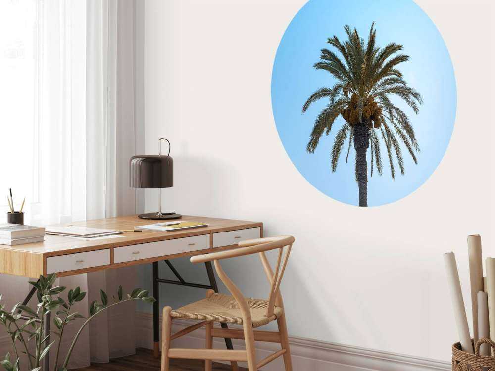 Blauw lucht en palmboom