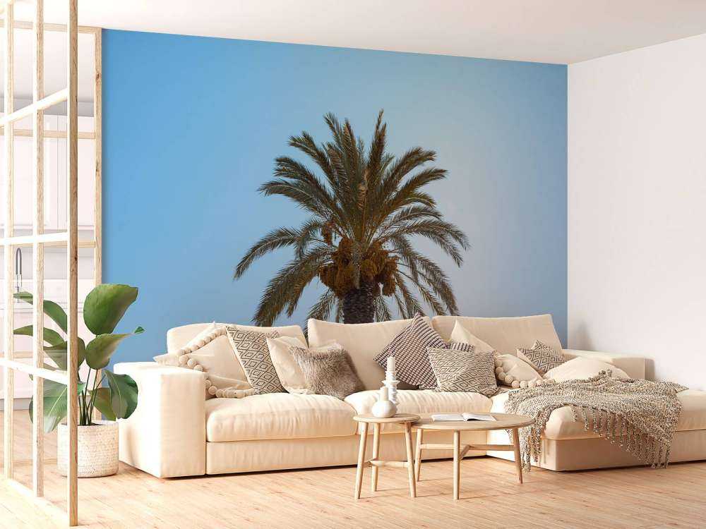 Blauw lucht en palmboom