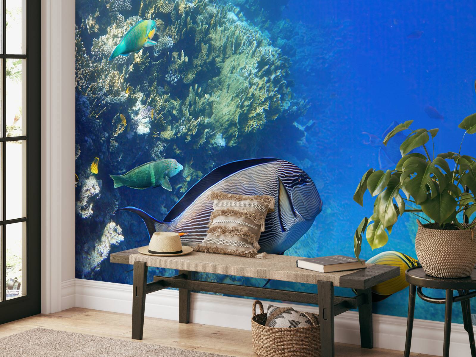 Coral reef