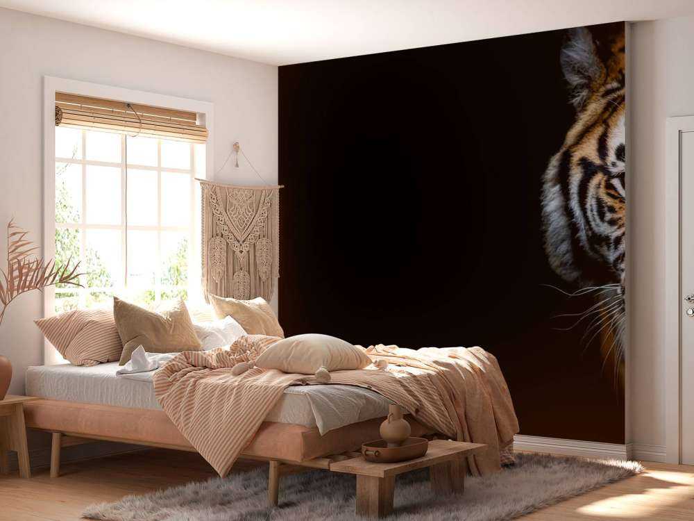 Tiger panorama