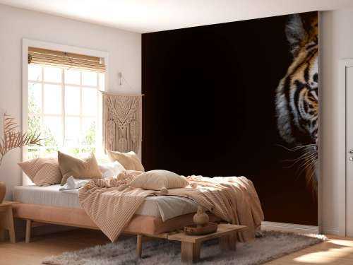 Tiger panorama
