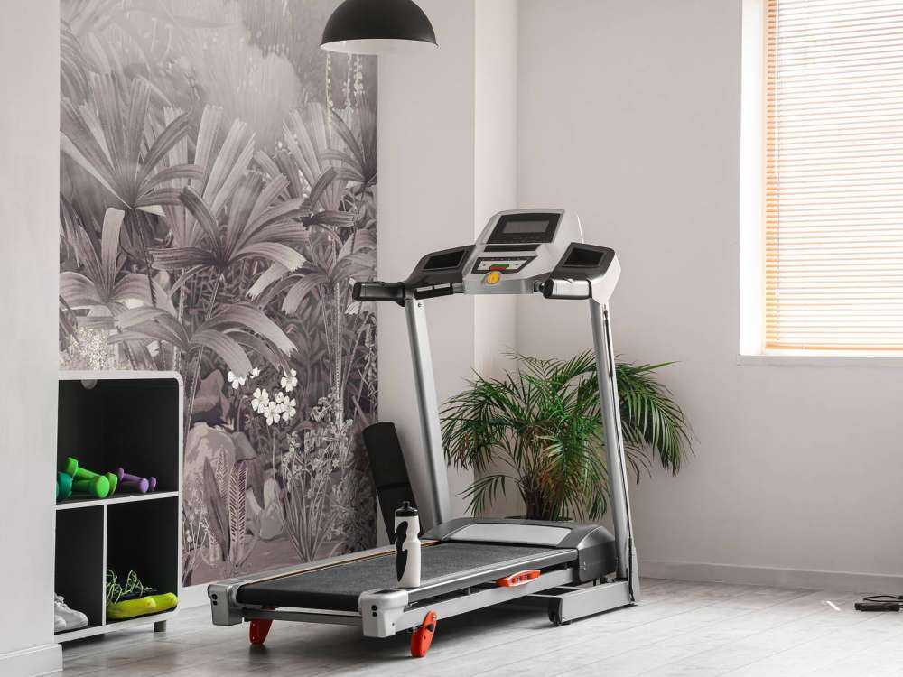 Morning in the Tropical Garden Purple