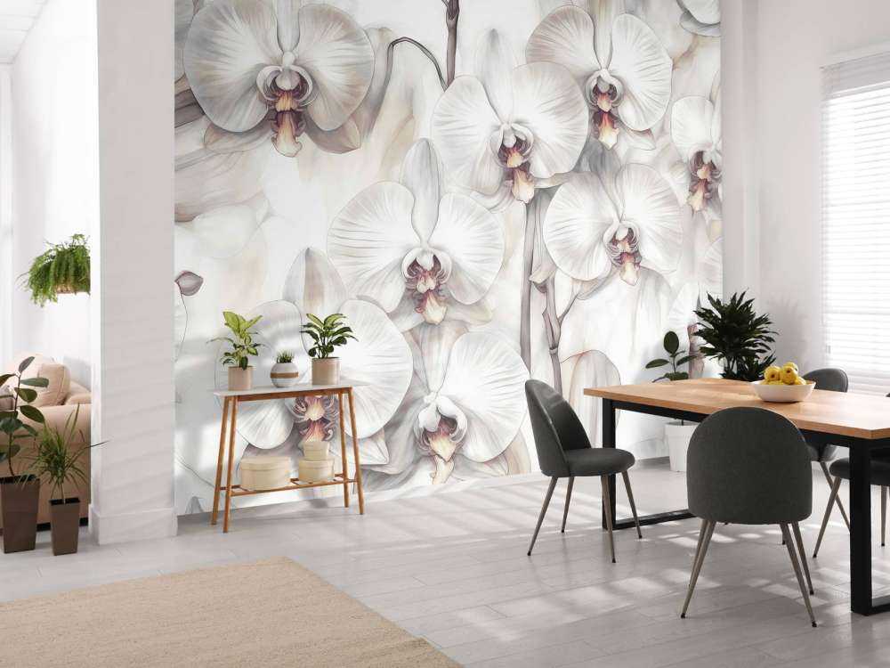 Orchids Paradise Orange