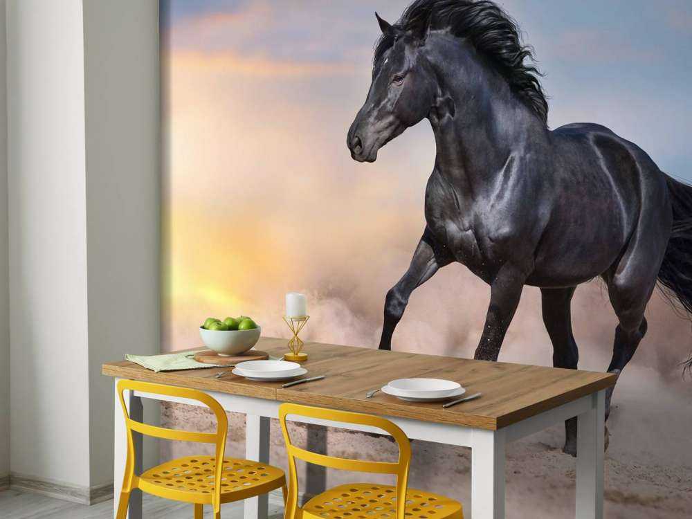 Mooi Zwart Paard in Zand