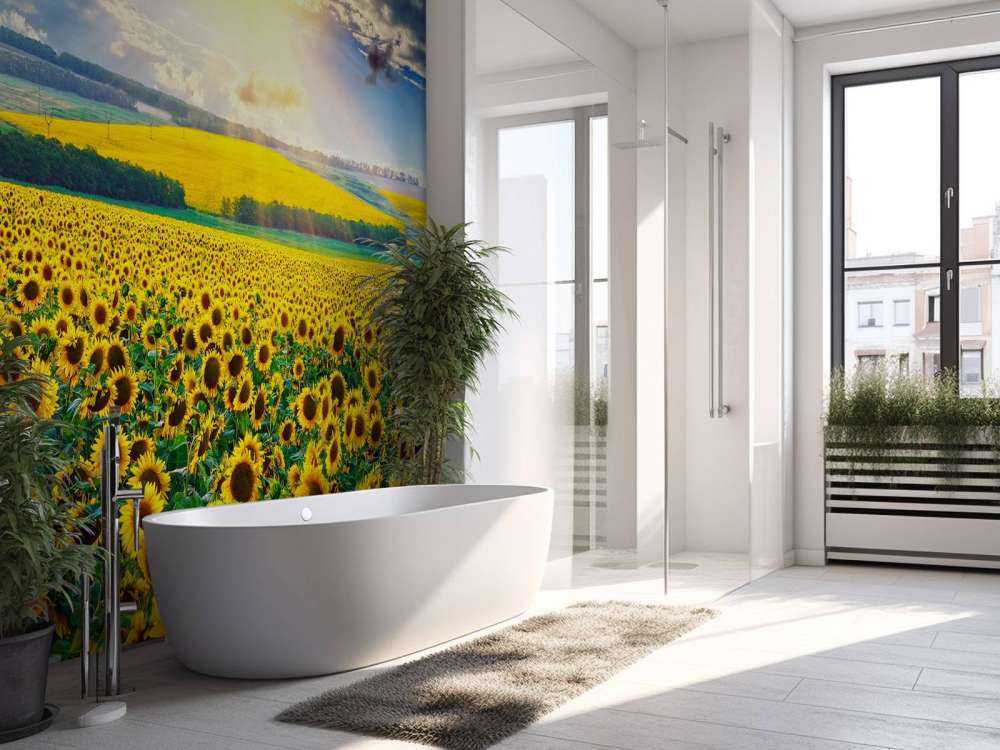 Zonnebloemen Veld met Opkomende Zon