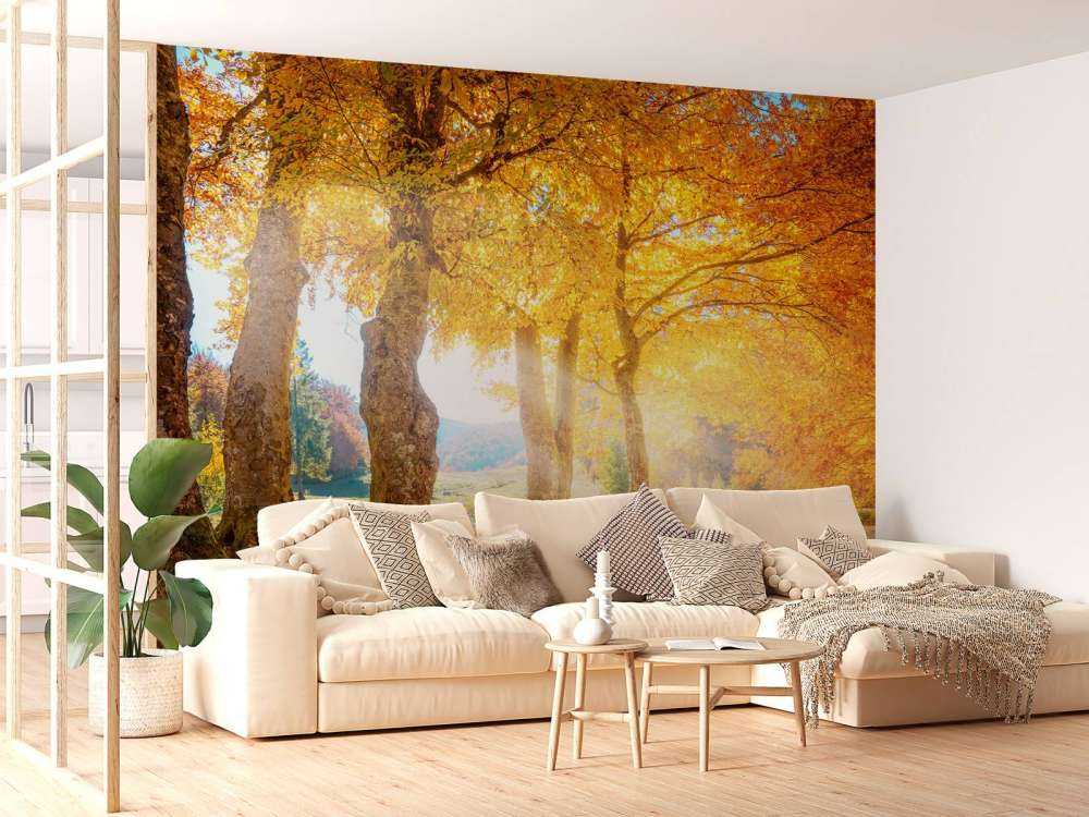 Warm autumn landscape