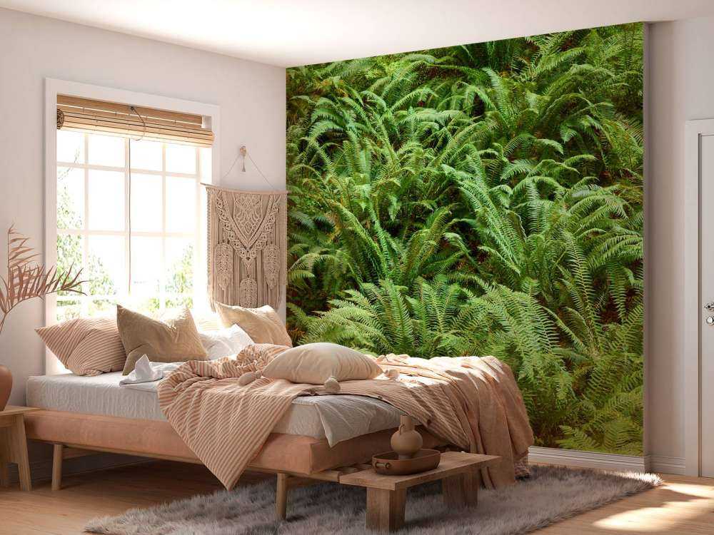 Green ferns