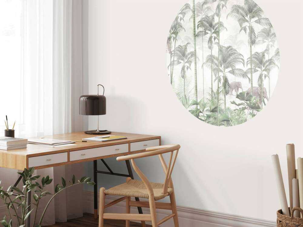 Dawn in the Wilderness