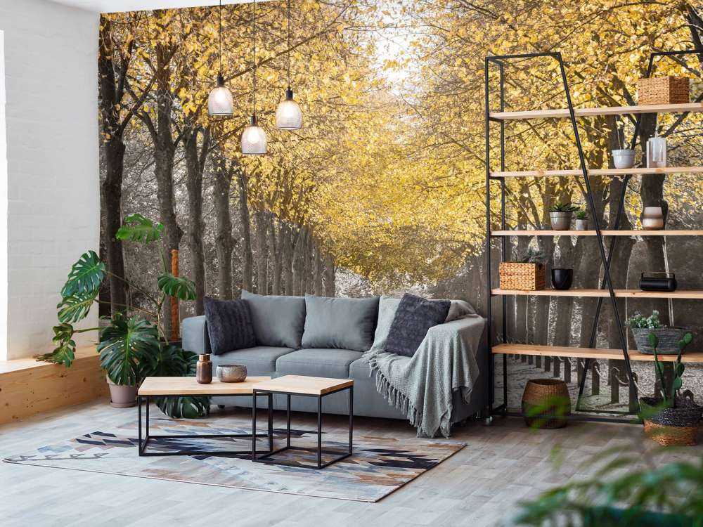 Path through the trees