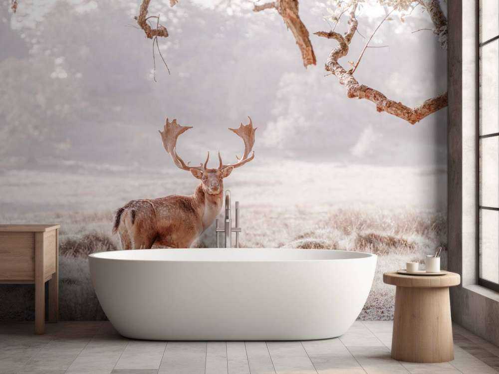 Deer in a field