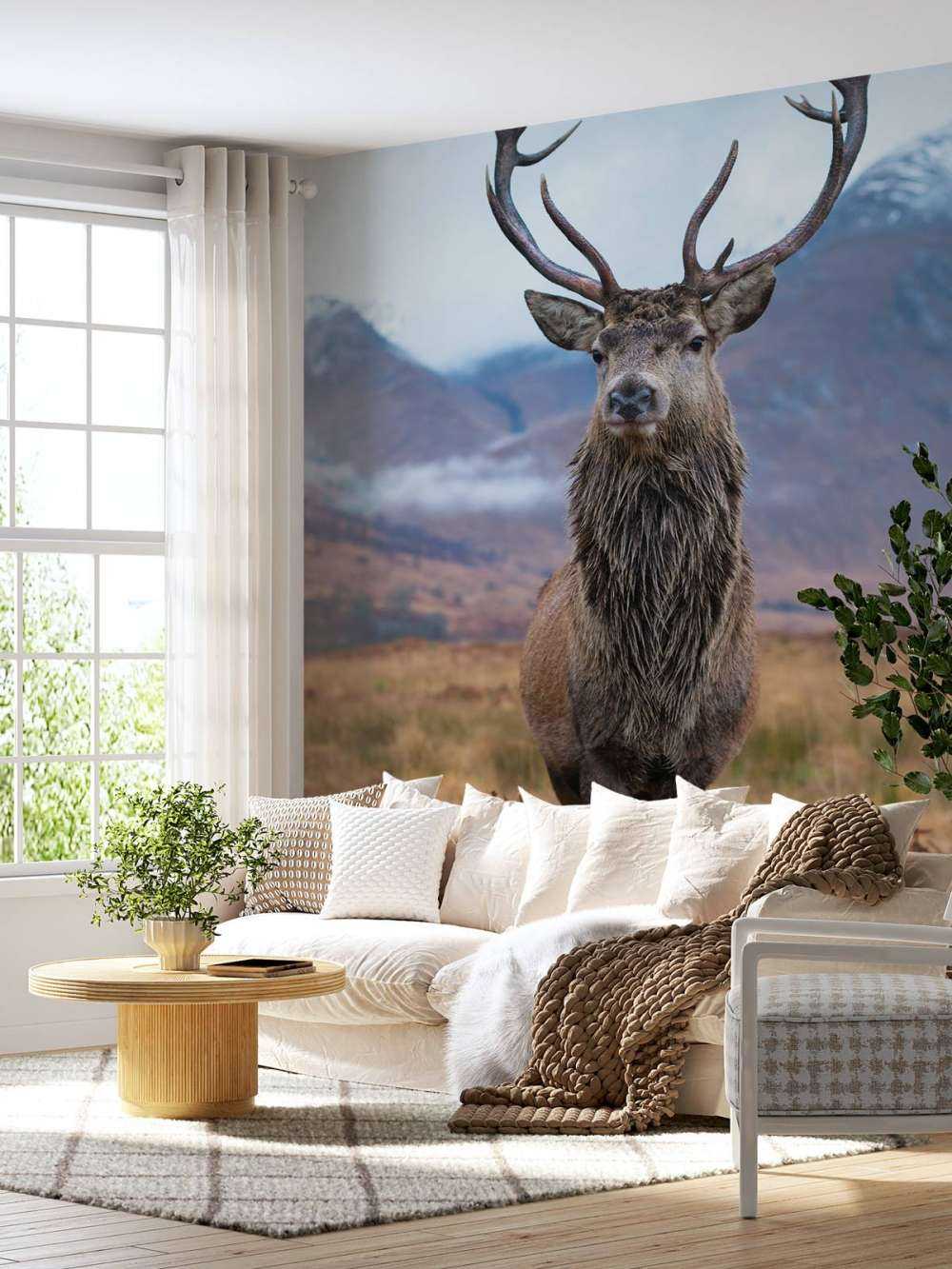 Deer in the mountains