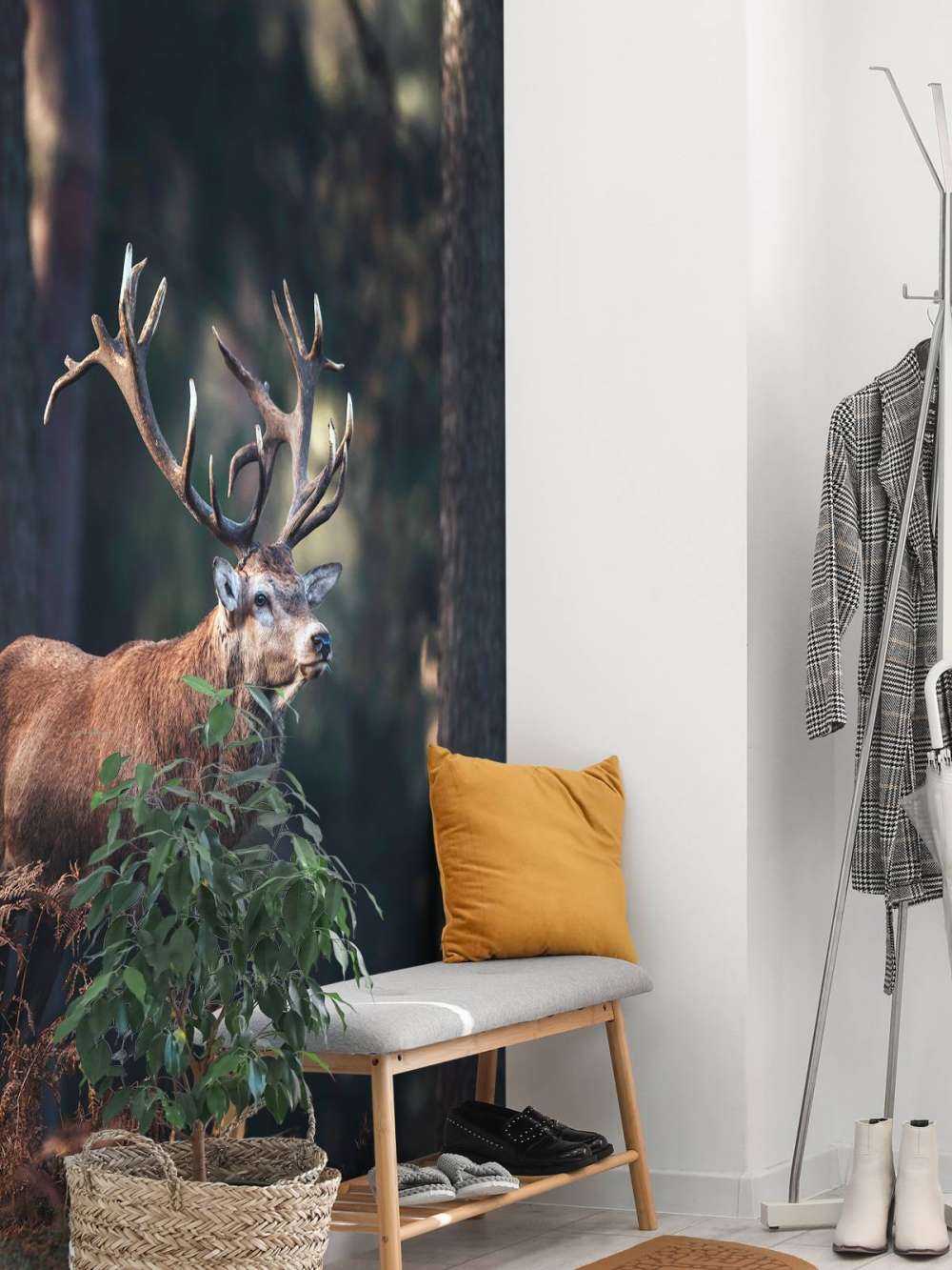 Deer on a hill