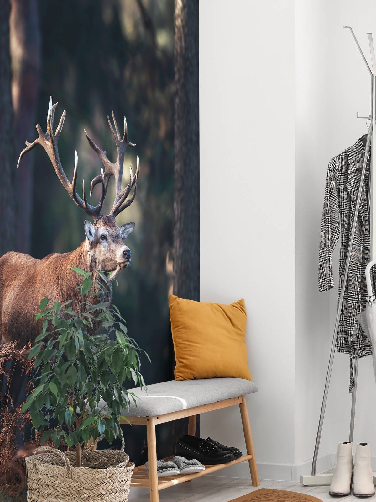 Deer on a hill