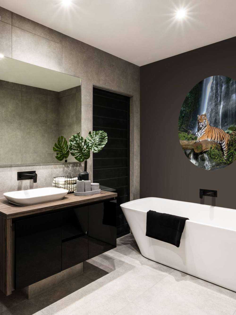 Tiger in the jungle